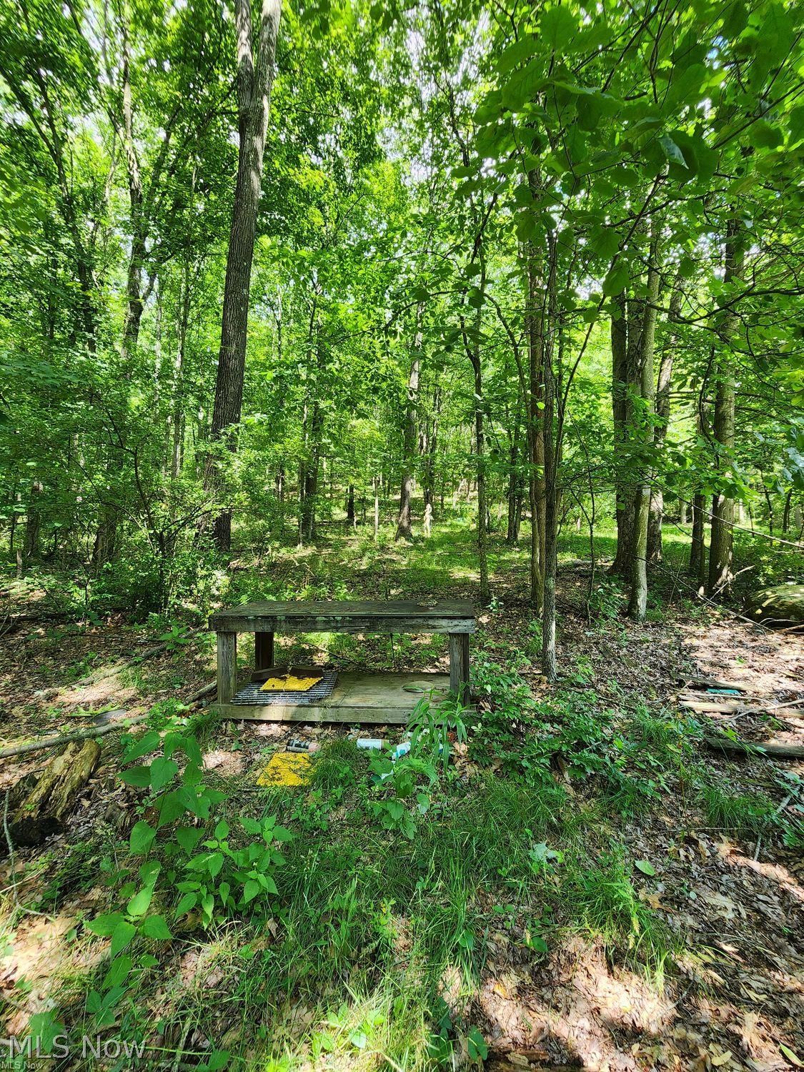 1220 Whispering Pines Lane SW Dellroy OH 44620