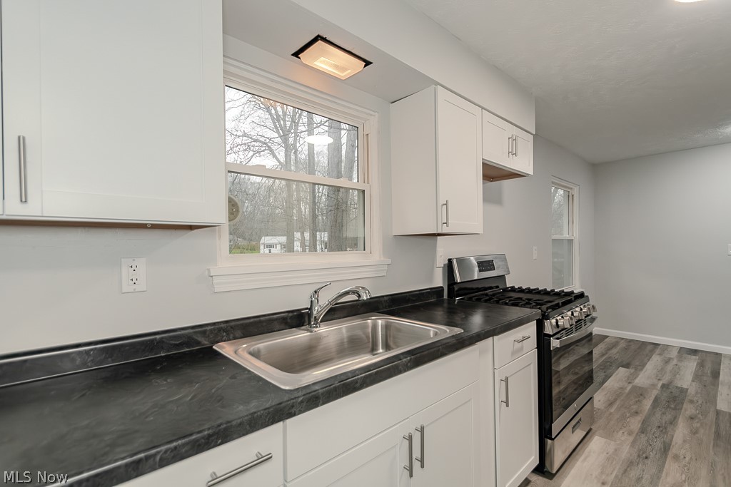 5220 North Ridge W Saybrook OH 44004