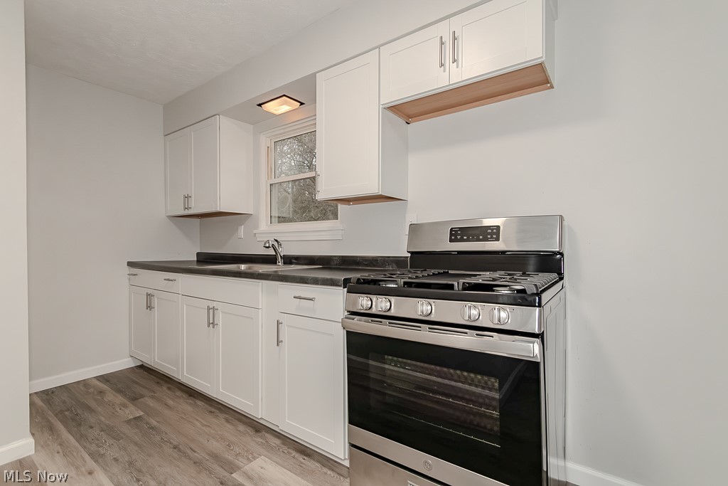 5220 North Ridge W Saybrook OH 44004