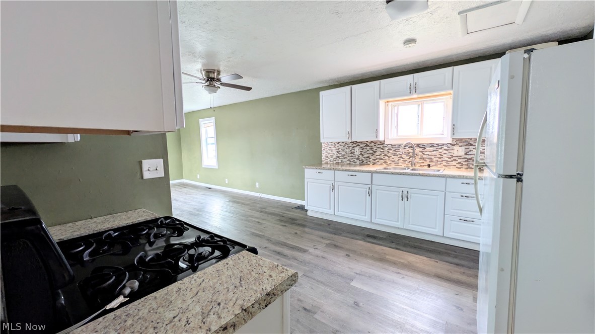 297 Depot Street Conneaut OH 44030
