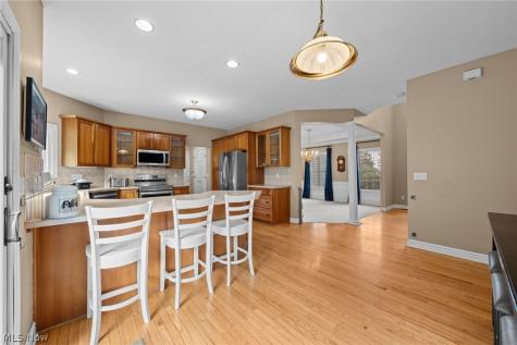 6576 Glen Coe Drive Brecksville OH 44141