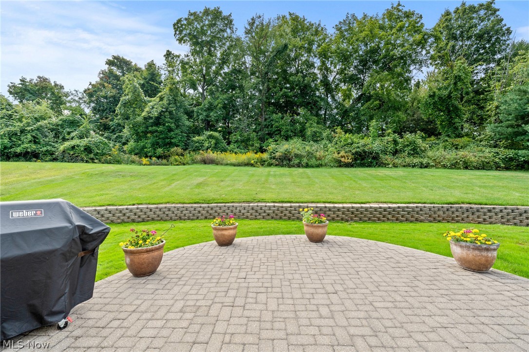 6576 Glen Coe Drive Brecksville OH 44141