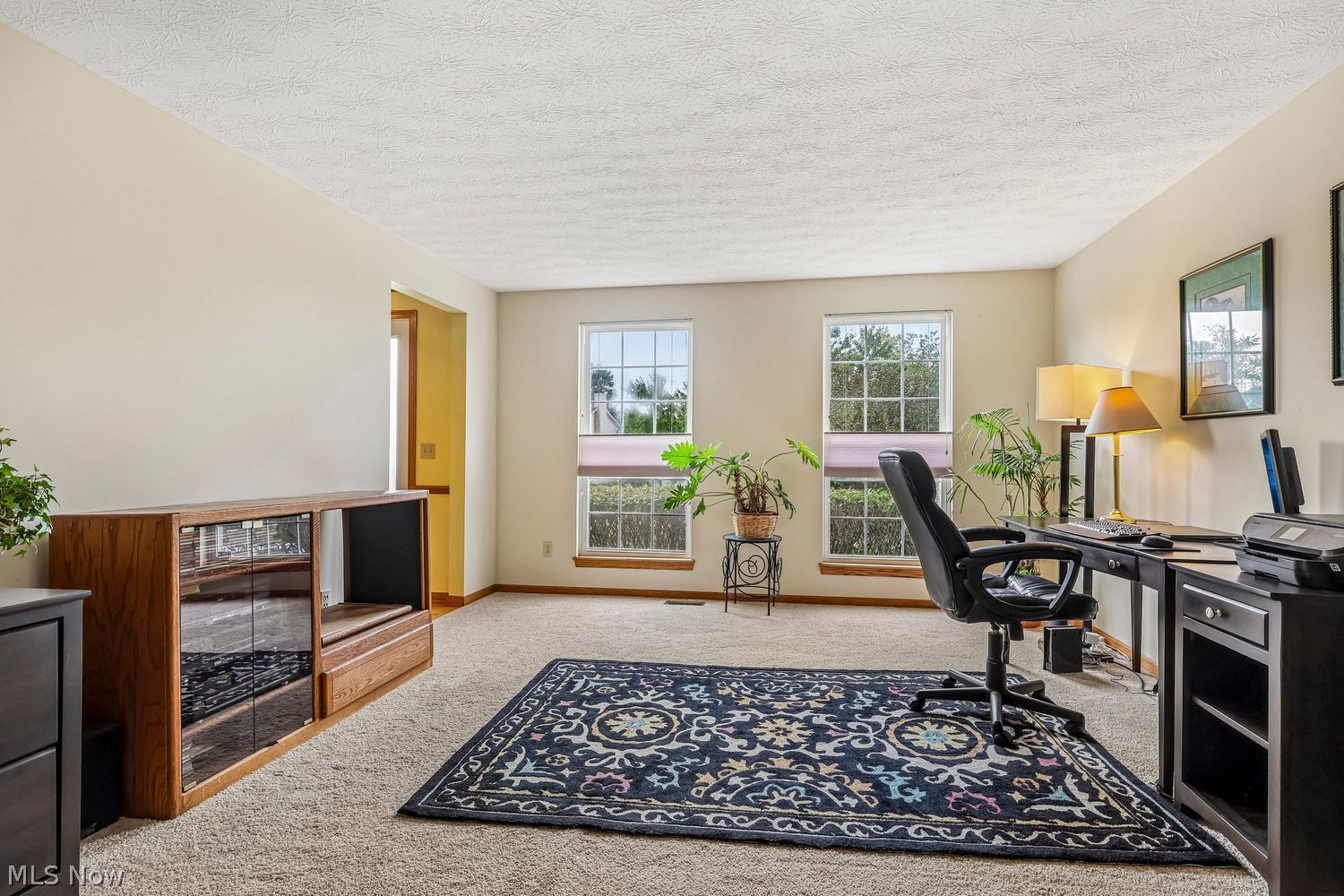 4652 Squire Drive Sagamore Hills OH 44067