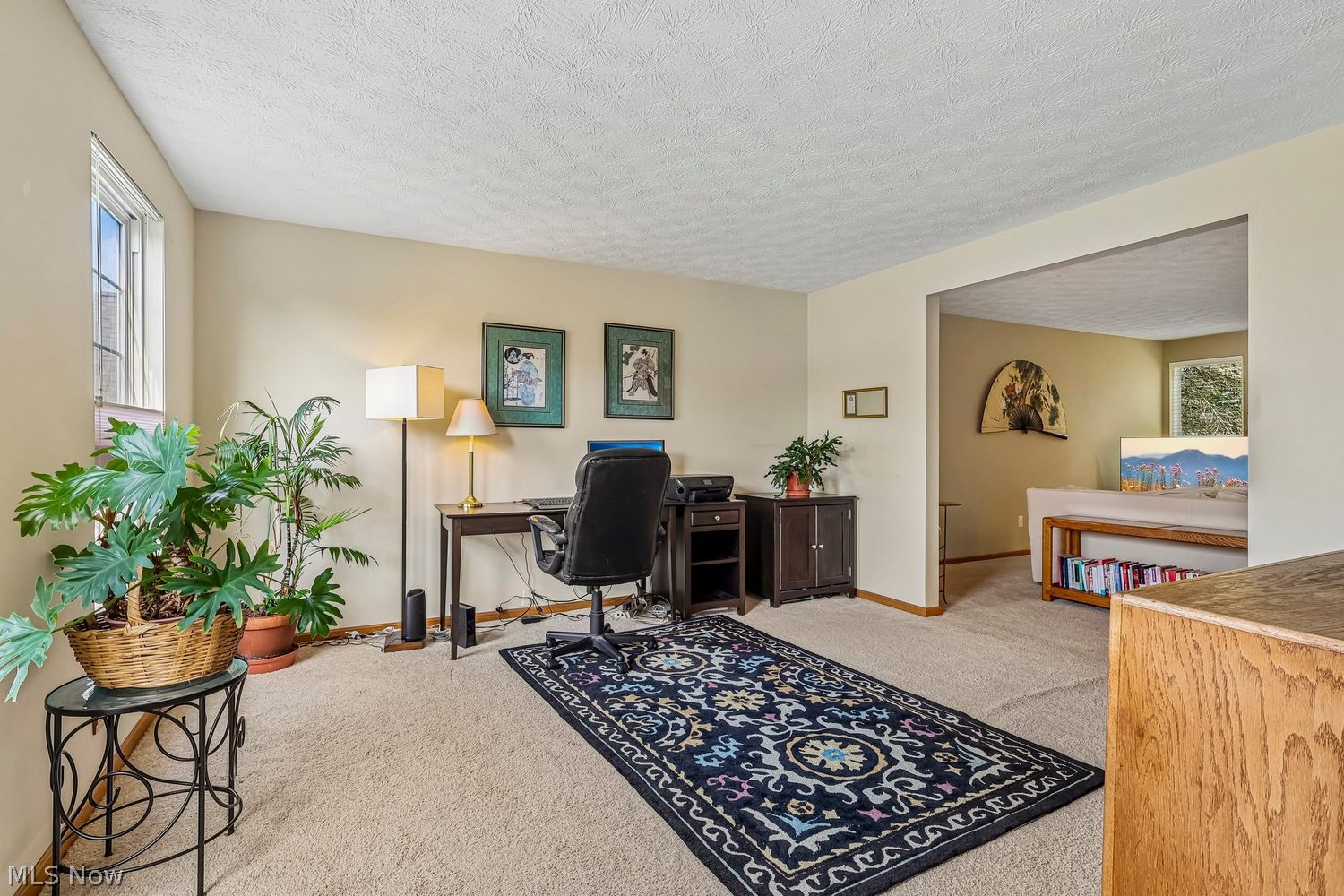 4652 Squire Drive Sagamore Hills OH 44067