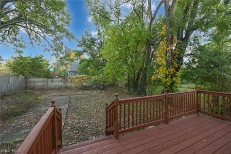 1137 Bellows Street Akron OH 44301