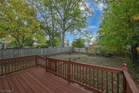 1137 Bellows Street Akron OH 44301