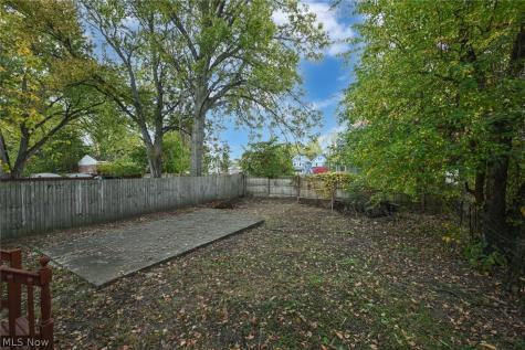 1137 Bellows Street Akron OH 44301