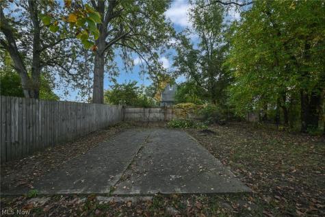 1137 Bellows Street Akron OH 44301