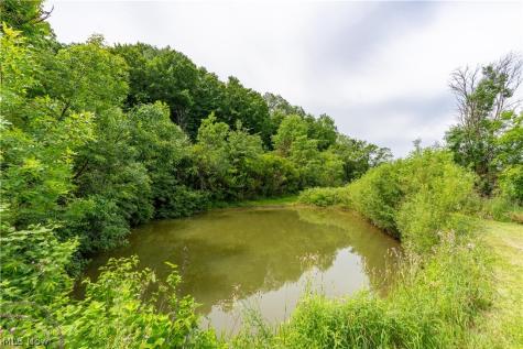 9115 Arrow Road NW Minerva OH 44657