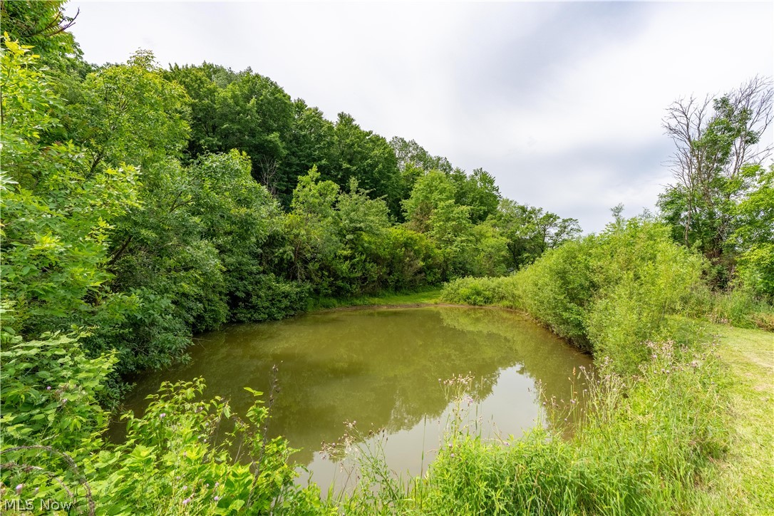 9115 Arrow Road NW Minerva OH 44657