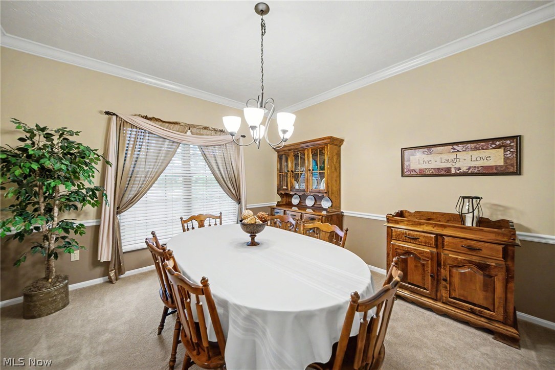 4343 Cobblestone Drive Akron OH 44321