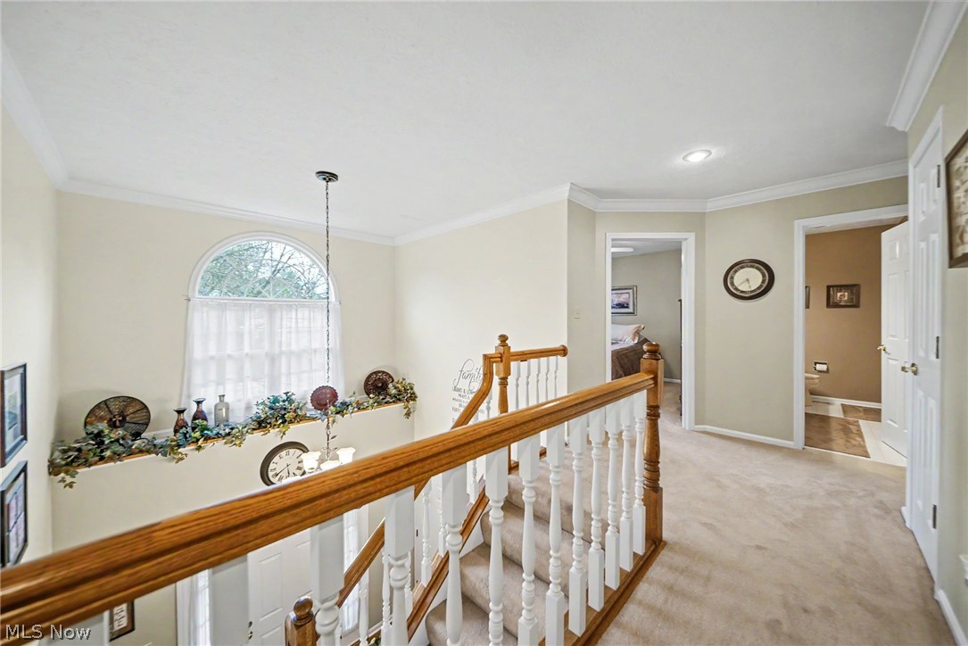 4343 Cobblestone Drive Akron OH 44321