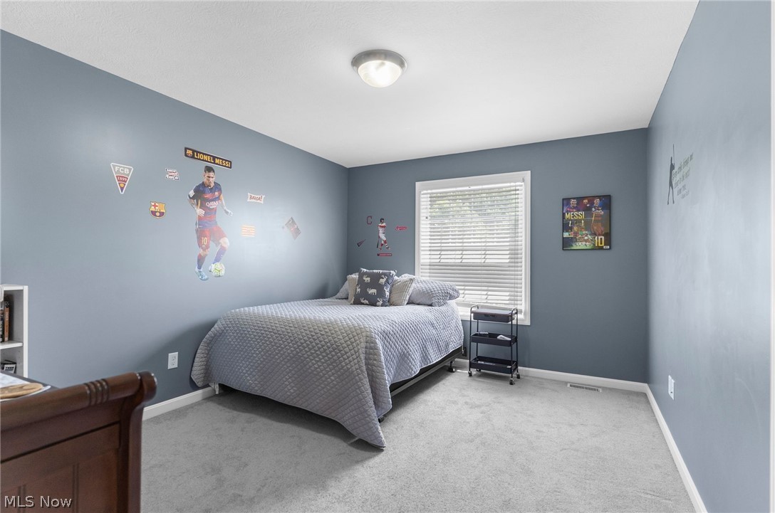 4875 Deerfield Court Mantua OH 44255
