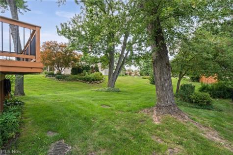 6217 Brookside Road Independence OH 44131