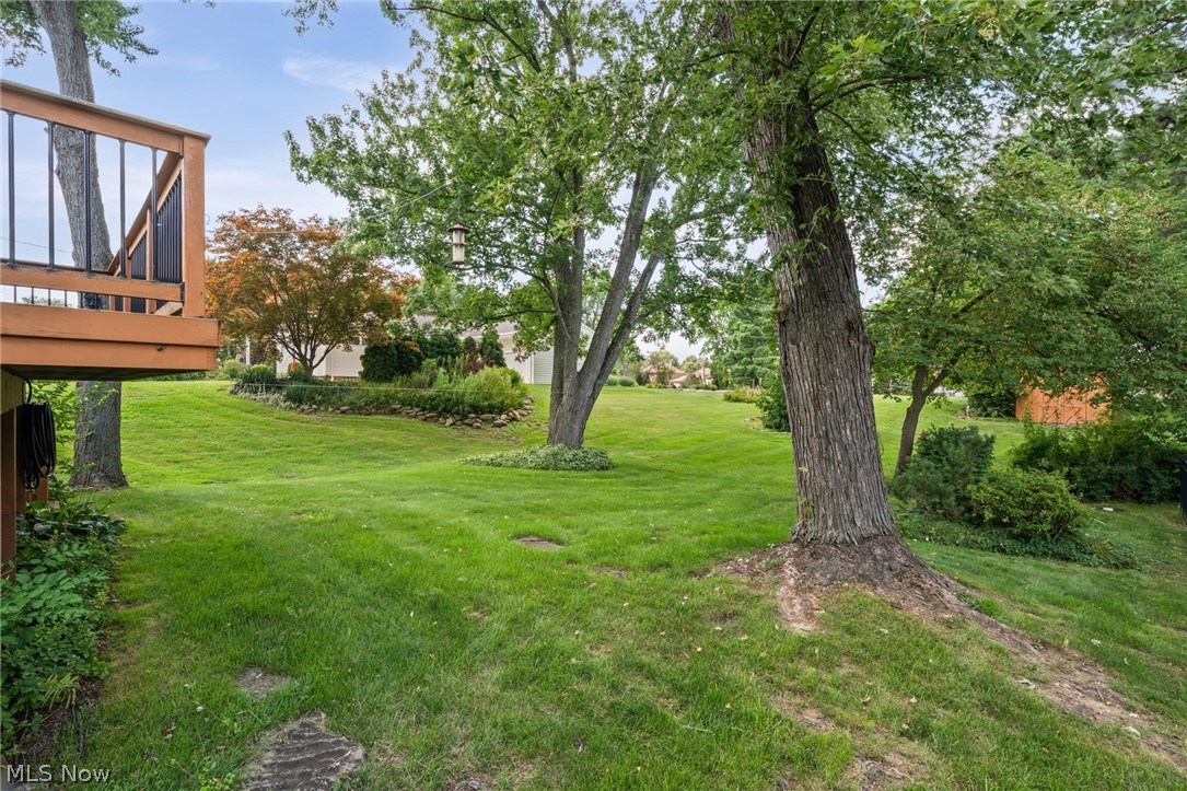 6217 Brookside Road Independence OH 44131