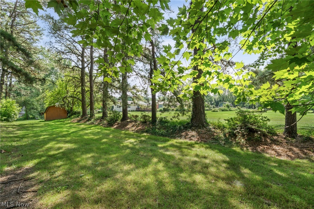 6217 Brookside Road Independence OH 44131