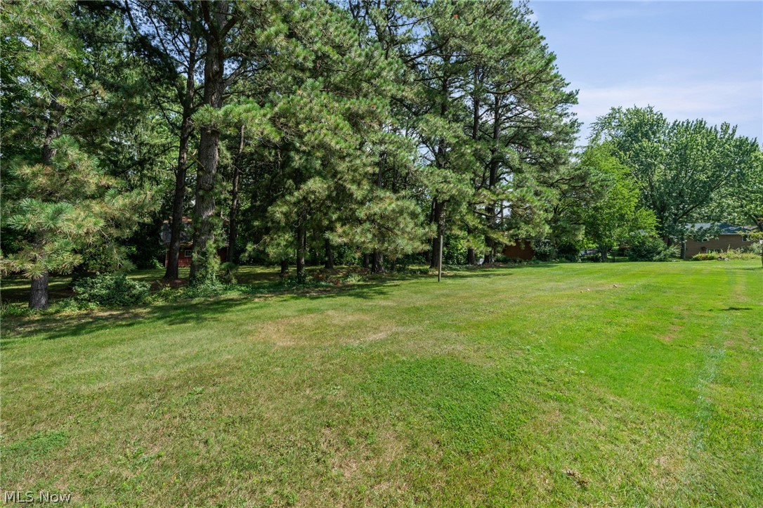 6217 Brookside Road Independence OH 44131