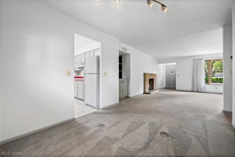 6217 Brookside Road Independence OH 44131