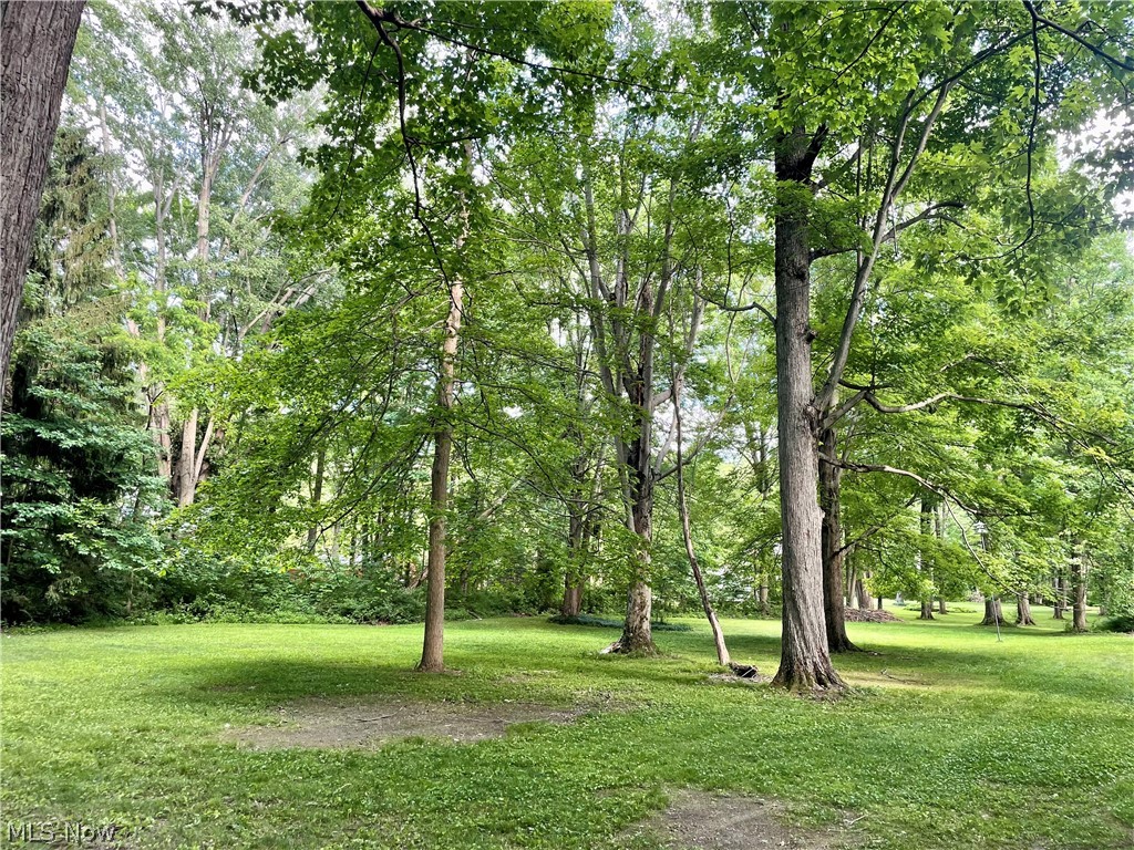 9251 Boyer Lane Kirtland Hills OH 44060