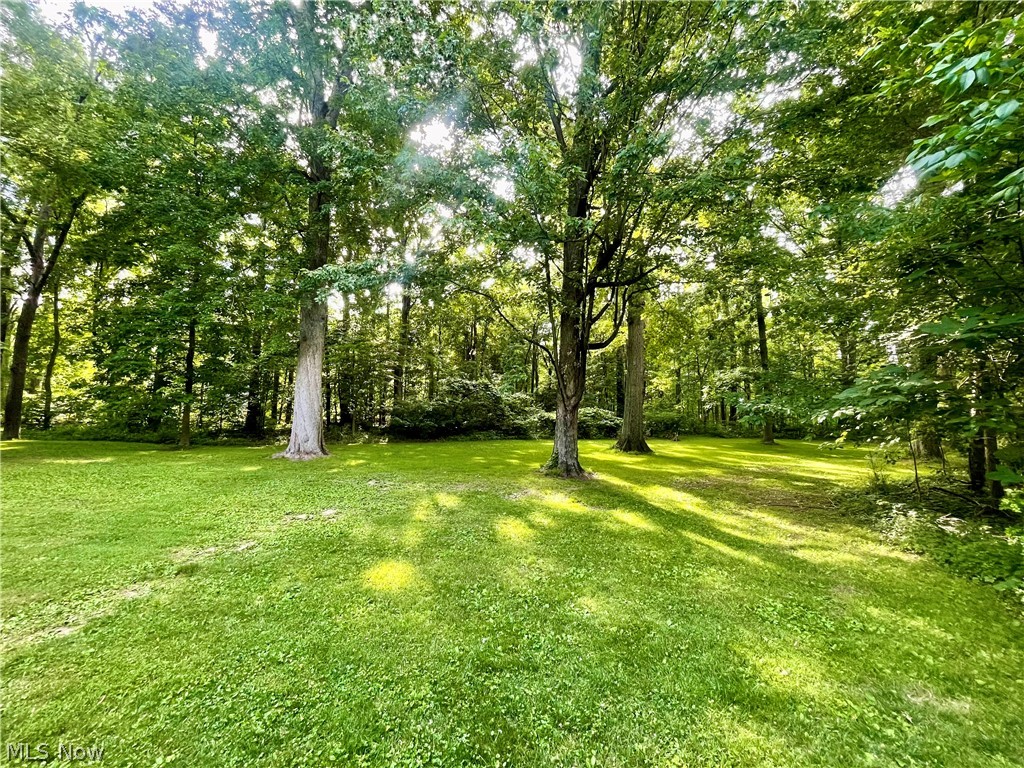 9251 Boyer Lane Kirtland Hills OH 44060