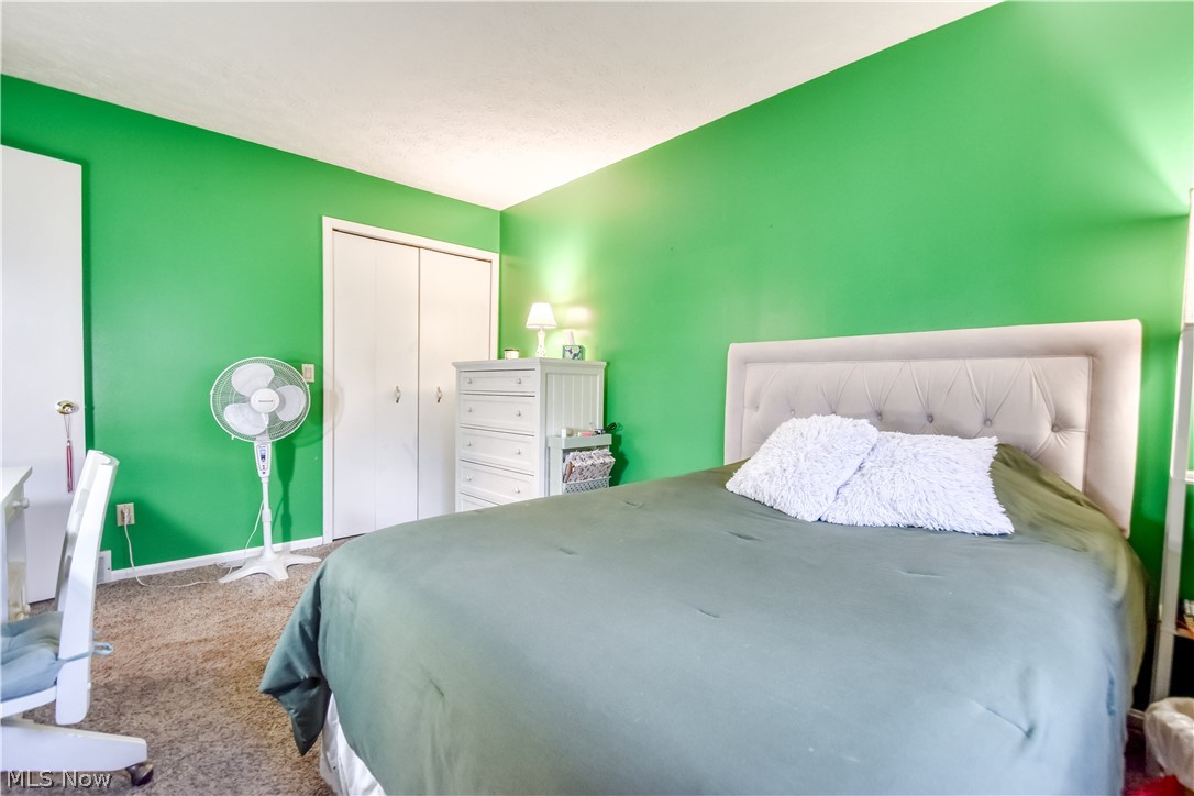 3872 Green Street Perry OH 44081