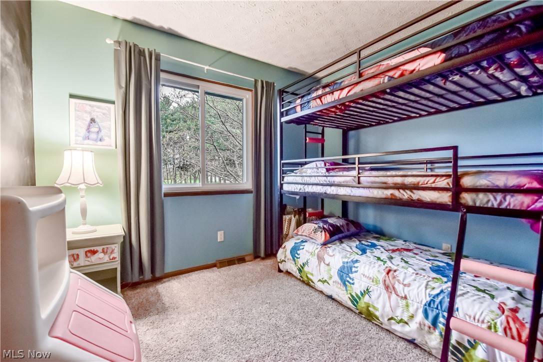 3872 Green Street Perry OH 44081