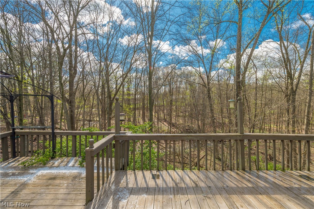 3148 N Park Lane Medina OH 44256