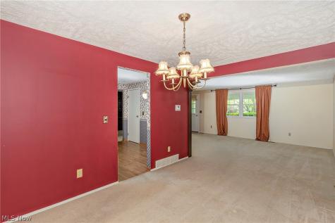 9090 Aileen Drive Mentor OH 44060