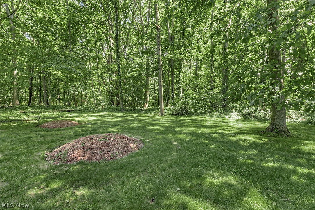9090 Aileen Drive Mentor OH 44060