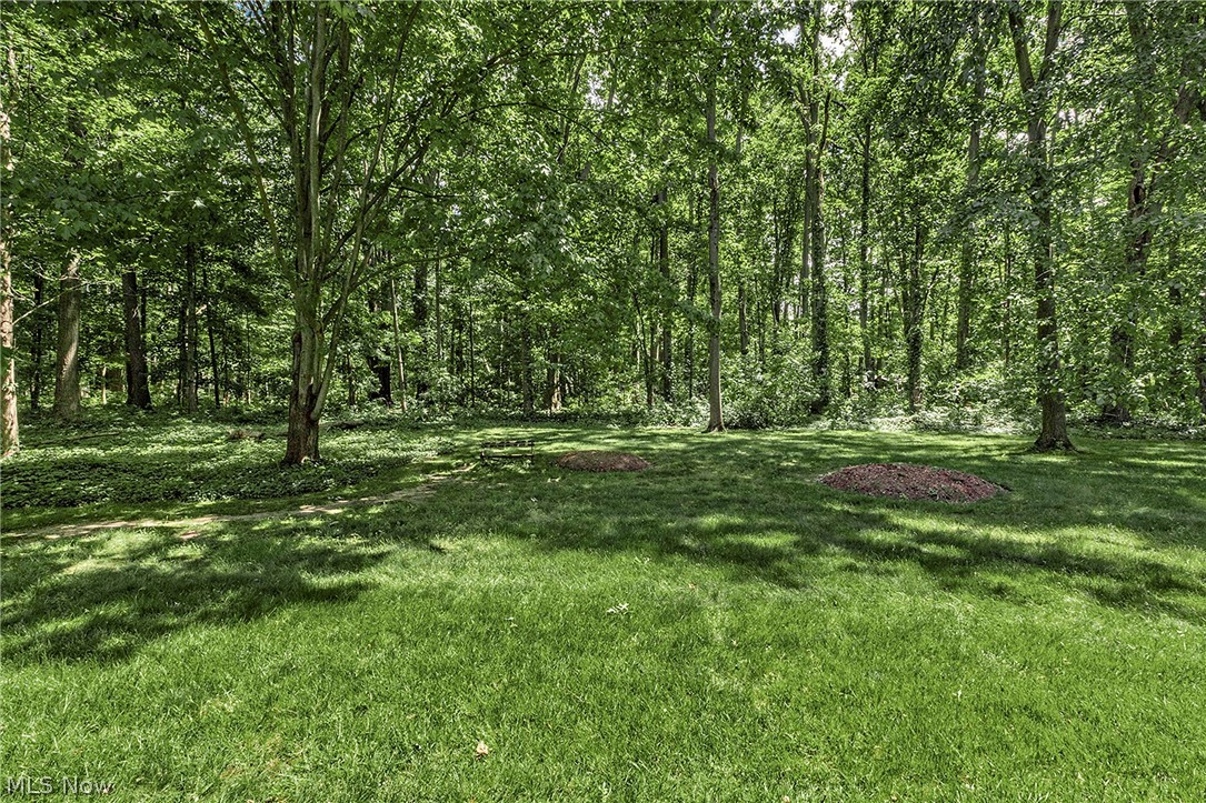 9090 Aileen Drive Mentor OH 44060
