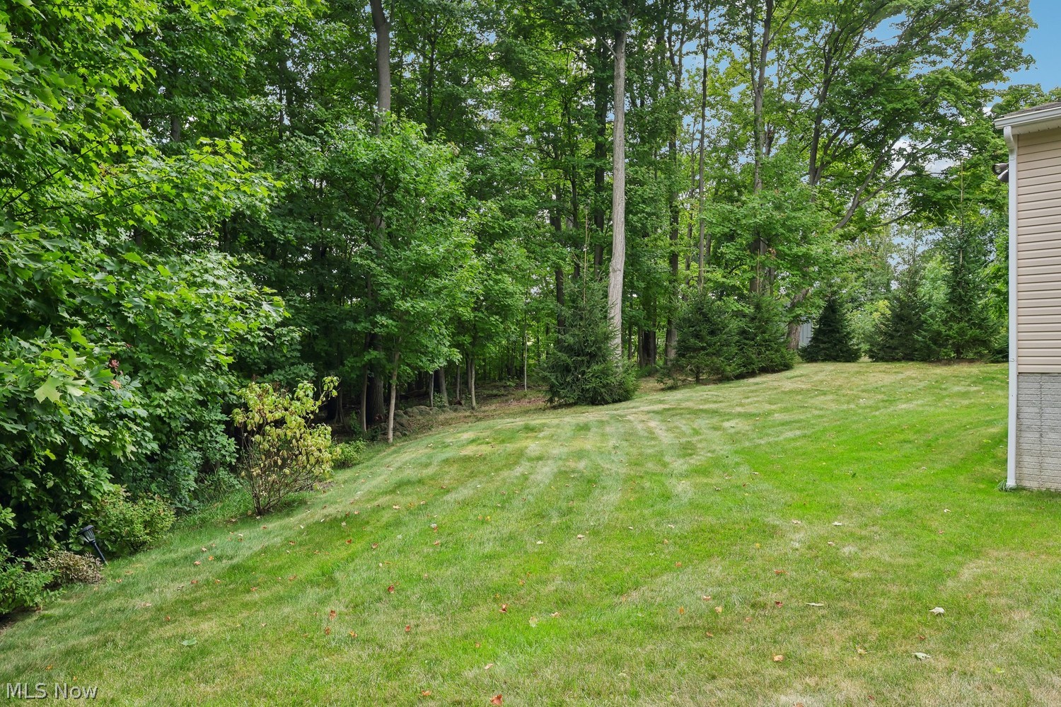 6362 Mulberry Bend Drive Medina OH 44256
