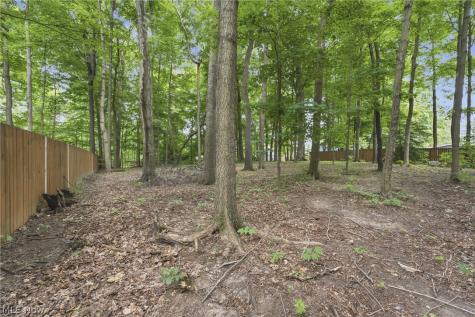 325 Vincent Street Alliance OH 44601