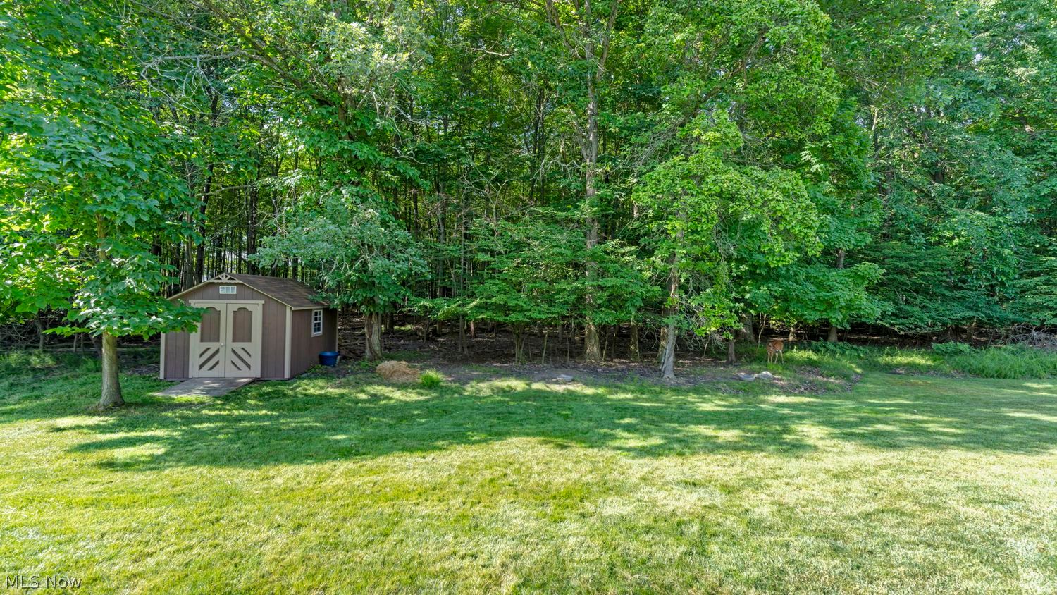 5635 Trystin Tree Drive Medina OH 44256