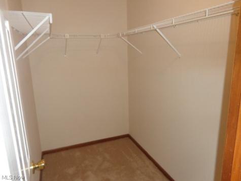 7855 Arbor Park Drive Parma OH 44134