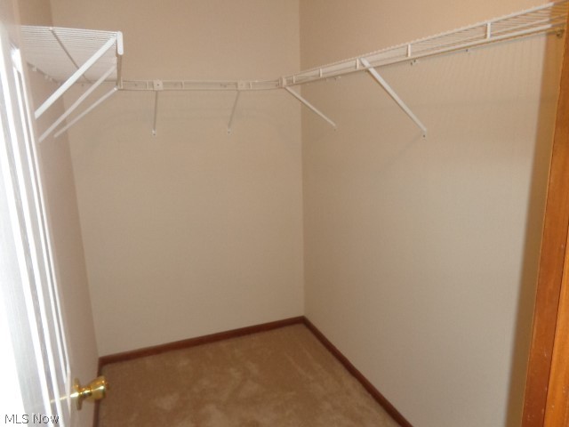 7855 Arbor Park Drive Parma OH 44134