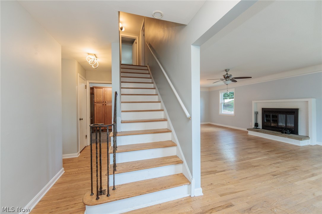 3516 Meadowbrook Boulevard Cleveland Heights OH 44118