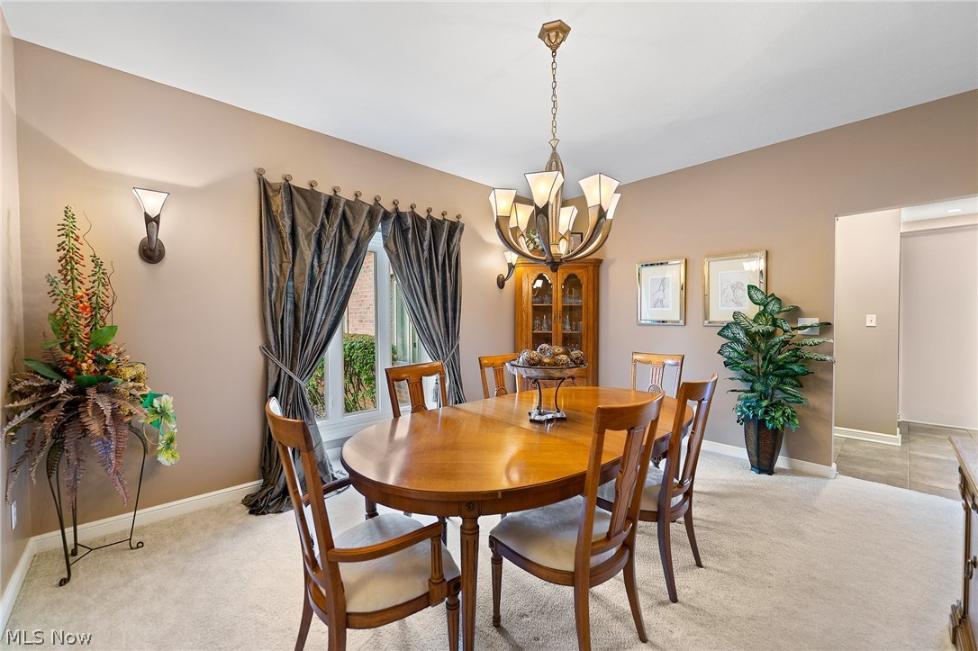 1458 Tori Pines Court Canfield OH 44406