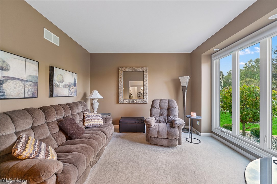 1458 Tori Pines Court Canfield OH 44406