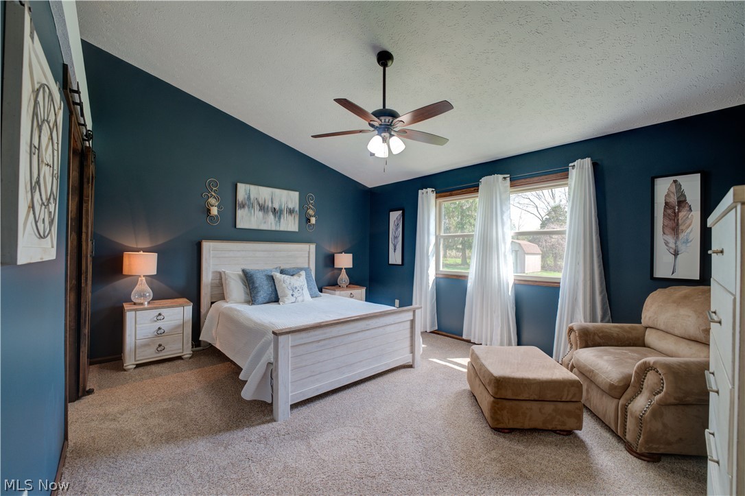 118 Sassafras Drive Vermilion OH 44089