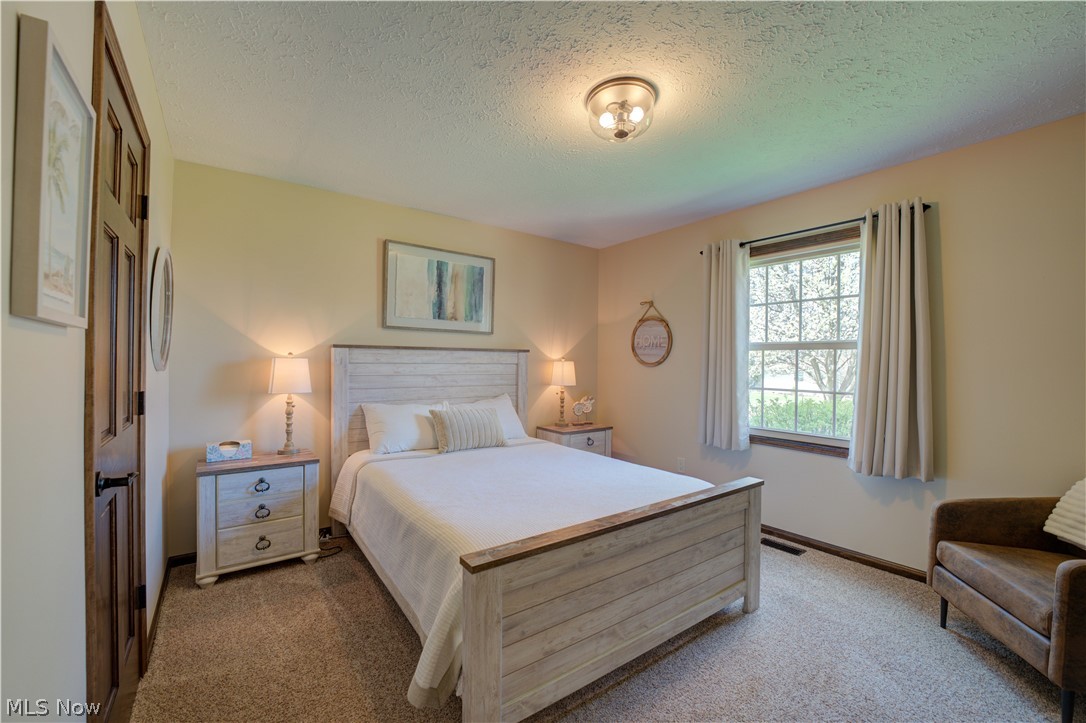 118 Sassafras Drive Vermilion OH 44089
