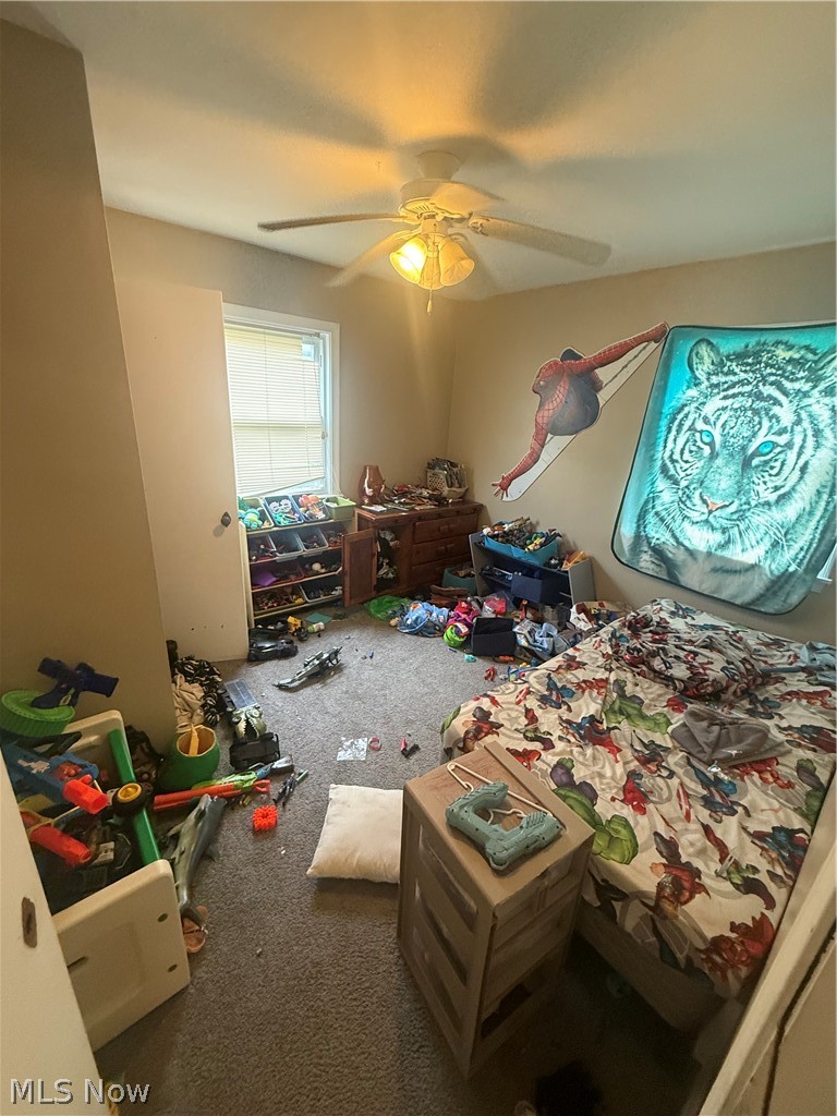 1055 Frederick Boulevard Akron OH 44320