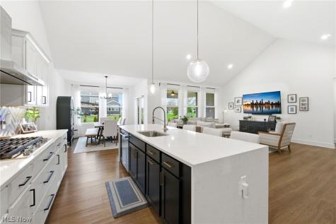 11201 Creek View Way Columbia Station OH 44028