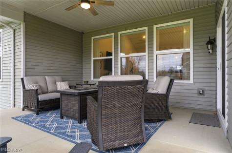11201 Creek View Way Columbia Station OH 44028