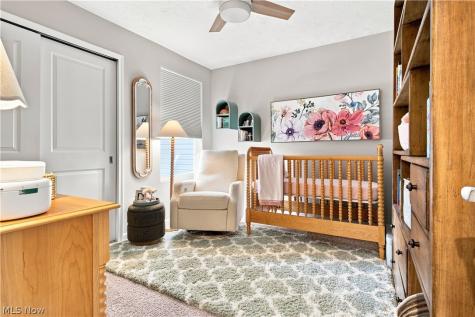 27878 Birchwood Court Westlake OH 44145