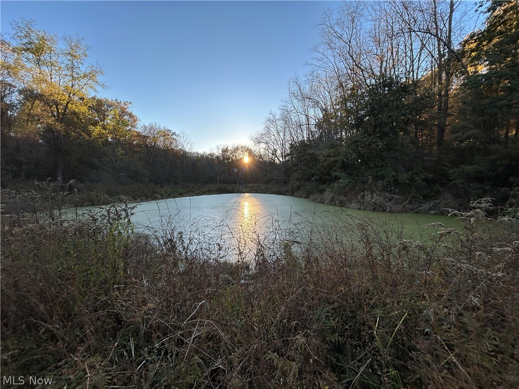 1000 Aster Road Scio OH 43986