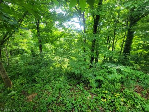 185 Belavista Drive Marietta OH 45750