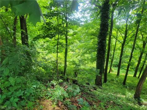 185 Belavista Drive Marietta OH 45750