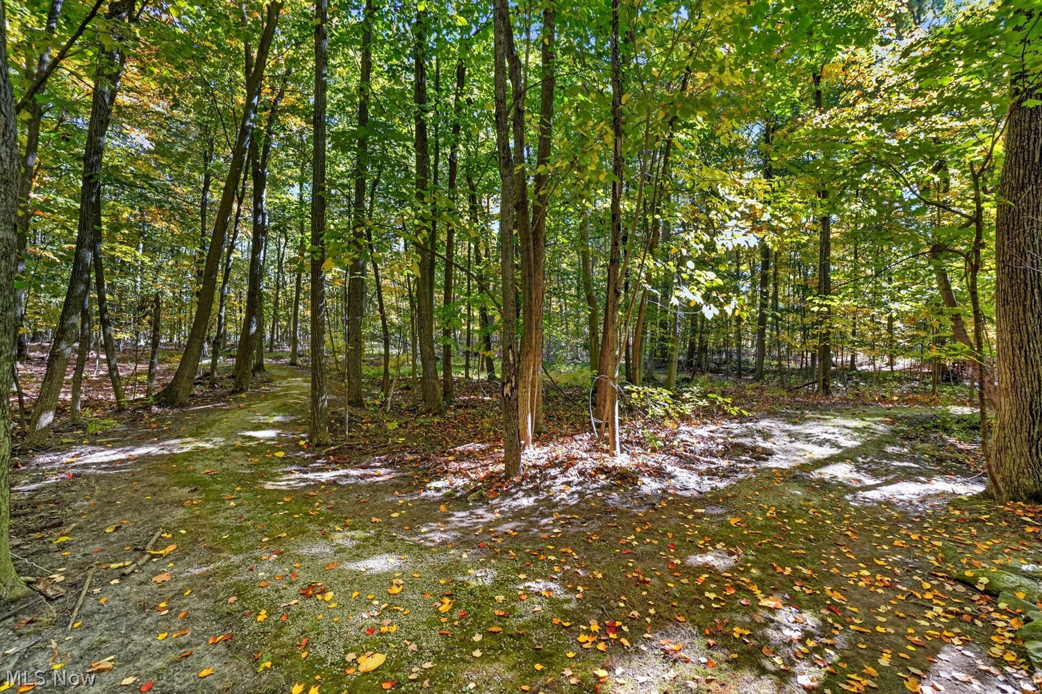 10801 Tibbetts Road Kirtland OH 44094