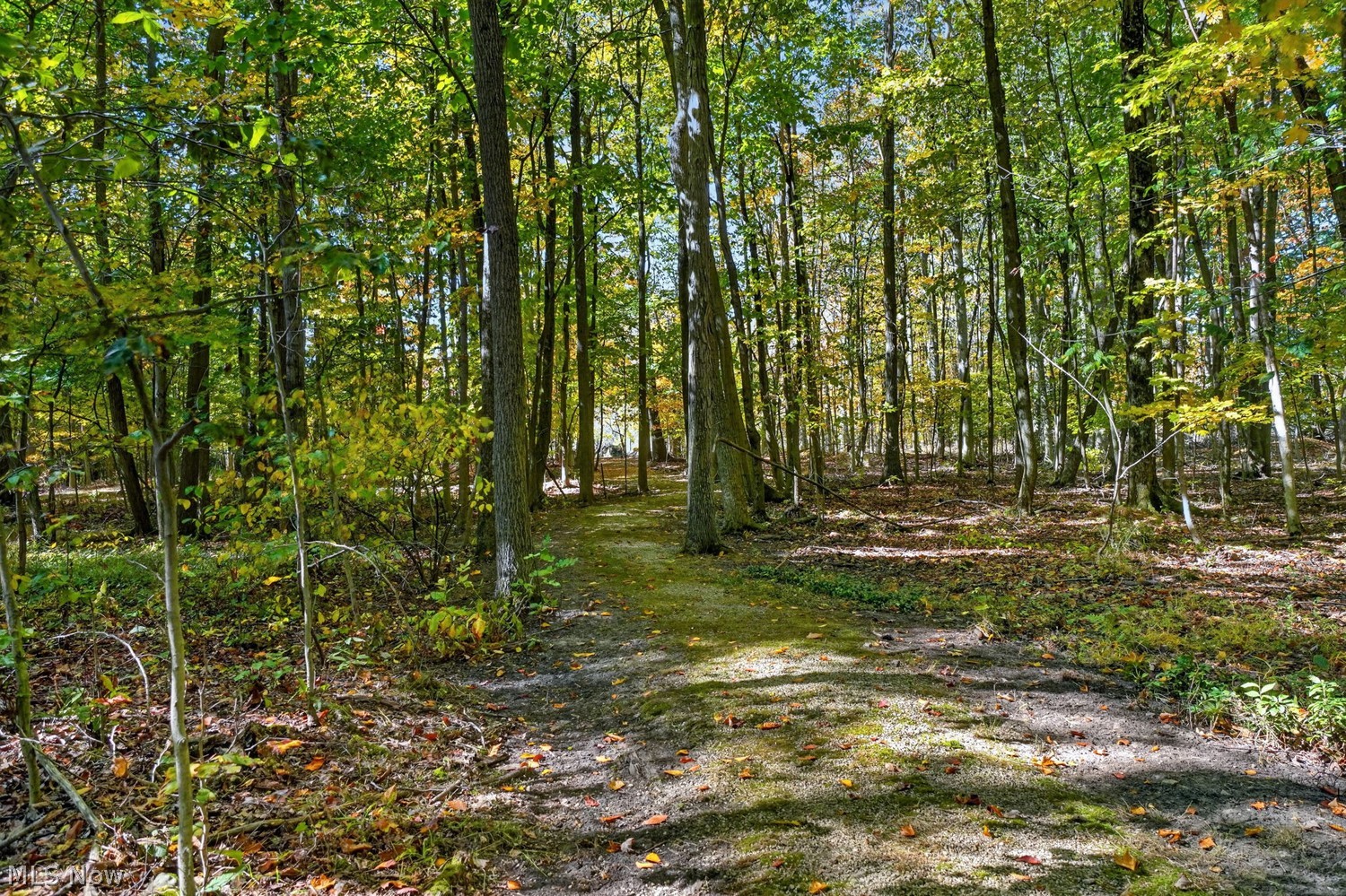 10801 Tibbetts Road Kirtland OH 44094