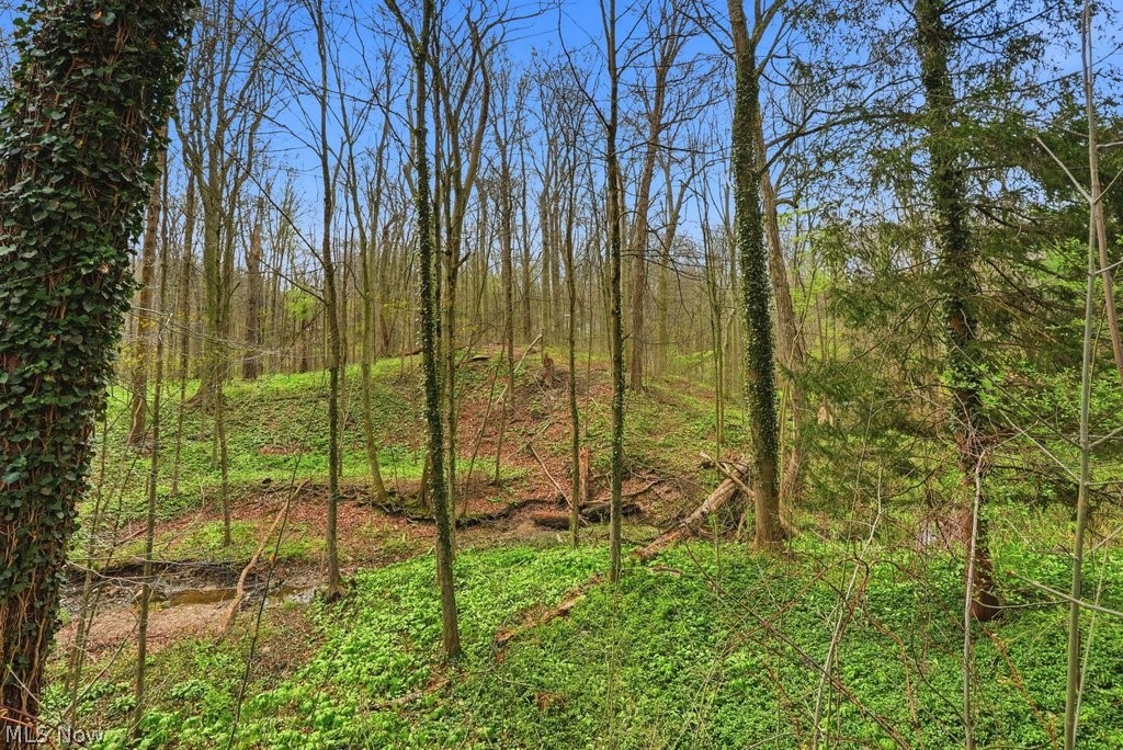 6055 Deepwood Drive Chagrin Falls OH 44022